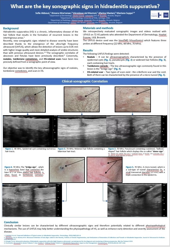 PDF image Abboud